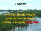 Bendrijos ir jų kaita 3 puslapis