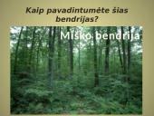 Bendrijos ir jų kaita 4 puslapis