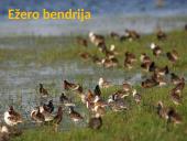 Bendrijos ir jų kaita 5 puslapis