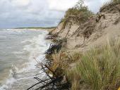 Bendrijos ir jų kaita 10 puslapis