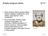 Katarsio teorija 3 puslapis