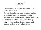 Naminės pelės ekologinė niša 2 puslapis