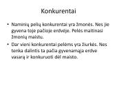 Naminės pelės ekologinė niša 3 puslapis