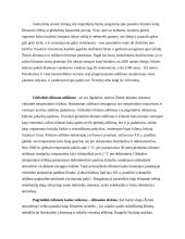 Globalus atšilimas – kas už tai atsakingas?