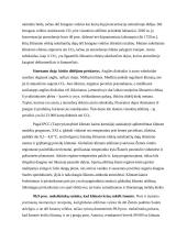 Globalus atšilimas – kas už tai atsakingas? 2 puslapis