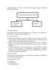 Baudžiamojo proceso teisės seminarų konspektas 2 puslapis