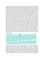 Baudžiamojo proceso teisės seminarų konspektas 17 puslapis