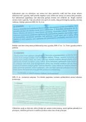 Baudžiamojo proceso teisės seminarų konspektas 18 puslapis