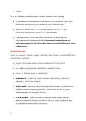 Mikrobiologijos konspektai 11 puslapis