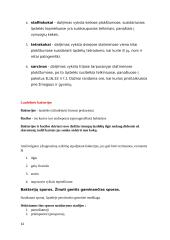 Mikrobiologijos konspektai 12 puslapis