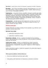 Mikrobiologijos konspektai 14 puslapis