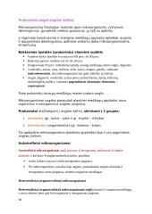 Mikrobiologijos konspektai 18 puslapis