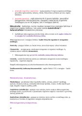 Mikrobiologijos konspektai 19 puslapis