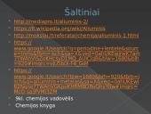 Metalas aliuminis (skaidrės) 10 puslapis