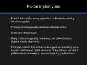 Metalas Cinkas 8 puslapis