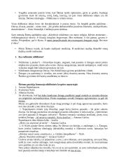 Antano Škėmos ,,Balta drobulė” analizė 2 puslapis