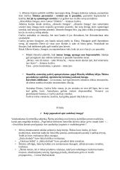 Antano Škėmos ,,Balta drobulė” analizė 3 puslapis