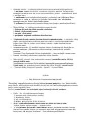 Antano Škėmos ,,Balta drobulė” analizė 4 puslapis