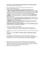 Antano Škėmos ,,Balta drobulė” analizė 5 puslapis