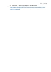 Meilė lietuvių literatūroje - planas 2 puslapis