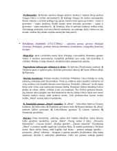 Lietuvių literatūros konspektai 11 puslapis