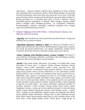 Lietuvių literatūros konspektai 13 puslapis