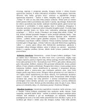 Lietuvių literatūros konspektai 15 puslapis