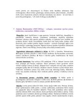 Lietuvių literatūros konspektai 17 puslapis