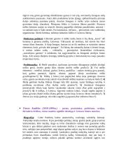 Lietuvių literatūros konspektai 18 puslapis