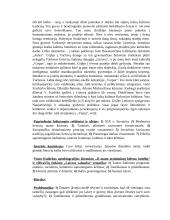 Lietuvių literatūros konspektai 19 puslapis