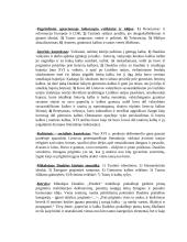 Lietuvių literatūros konspektai 3 puslapis