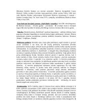 Lietuvių literatūros konspektai 5 puslapis