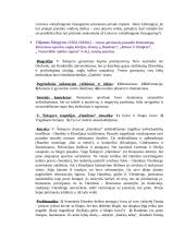 Lietuvių literatūros konspektai 6 puslapis