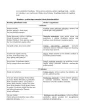 Lietuvių literatūros konspektai 7 puslapis