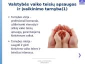 Vaiko gerovės valstybės politikos strategijos įgyvendinimas 11 puslapis