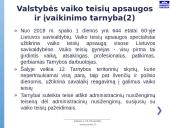 Vaiko gerovės valstybės politikos strategijos įgyvendinimas 12 puslapis