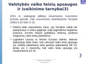 Vaiko gerovės valstybės politikos strategijos įgyvendinimas 13 puslapis