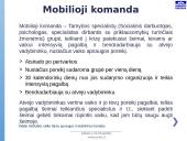 Vaiko gerovės valstybės politikos strategijos įgyvendinimas 19 puslapis