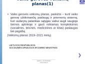 Vaiko gerovės valstybės politikos strategijos įgyvendinimas 3 puslapis