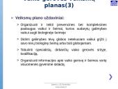 Vaiko gerovės valstybės politikos strategijos įgyvendinimas 5 puslapis