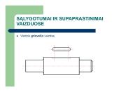 Projekcinė braižyba 17 puslapis