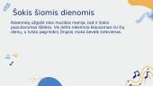 Tvistas - šokio pristatymas 4 puslapis
