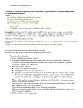 Sokratas, Platonas ir Aristotelis 5 puslapis