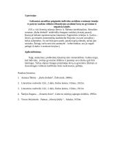 Ar išbandymai daro žmogų laimingu? Kalbėjimo planas 2 puslapis