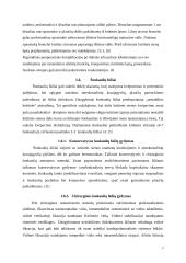 Dažniausios šunų krūtinės srities traumos, jų chirurginis ir konservatyvus gydymas 6 puslapis