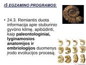 Evoliucijos įrodymai ir žmogaus evoliucija 2 puslapis