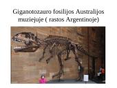 Evoliucijos įrodymai ir žmogaus evoliucija 11 puslapis