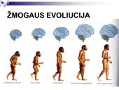 Evoliucijos įrodymai ir žmogaus evoliucija 16 puslapis