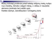 Evoliucijos įrodymai ir žmogaus evoliucija 17 puslapis