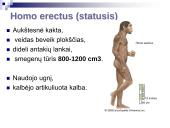 Evoliucijos įrodymai ir žmogaus evoliucija 19 puslapis